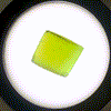 23.2ct Lab Grown Forsterite (Green to Purple Pleochroism) Faceting Rough Stone