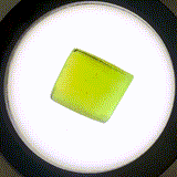 23.2ct Lab Grown Forsterite (Green to Purple Pleochroism) Faceting Rough Stone