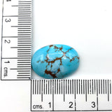 15ct Natural Turquoise Oval Cabochon From Maikain Kazakhstan