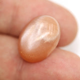 15.7ct Natural Moon Stone Oval Cabochon