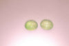 8.64ct 2pcs Mint Star Sapphire (Surface Diffusion) Oval Cabochon Lab Created