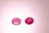 7.9ct Pair 2pcs Star Ruby (Surface Diffusion) Oval Cabochon 10x9 Lab Created